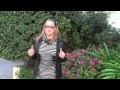 Natural Head Lice Removal Natural Head Lice Removal