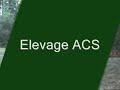 elevage canin ACS