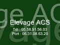 elevage canin ACS