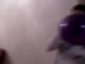 videos de YAMIL
