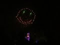 Disneyland Fireworks Holiday