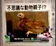 いとうせいこう動画10