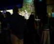 organic groove play barga
