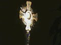 Medjugorje - Adoration