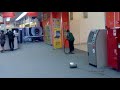 Беспроводной пылесос в техносиле