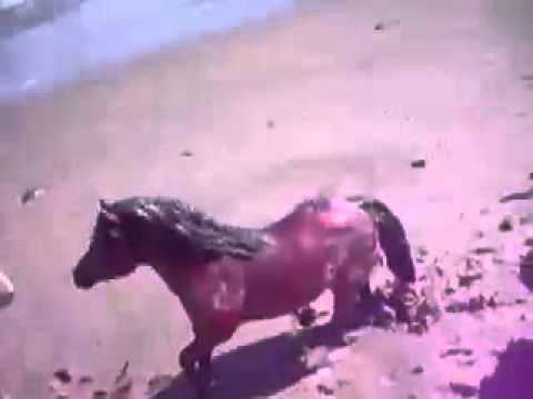 A Day at the Beach-Breyer Style