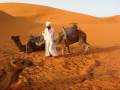 Sandstorm in the Sahara