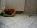 TRO CHOU LES MiiNOU