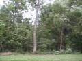 videos de The winds from Hurican Ike - 9/08