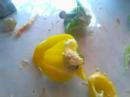 How to make pasta ( Spaghetti with pepperoni and zucchini )