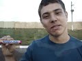 experimentos®