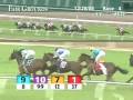 videos de FAIR GROUNDS, 2008-12-28, Race 4