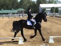 Raven - Arnout fan Fallingasate
