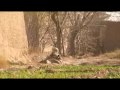 Marines in Marjah Afghanistan