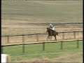 Summerhill Gallops Oct 08: Robor et Dignitas Summerhill Gallops Oct 08: Robor et Dignitas
