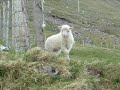 Faroe Islands