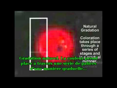 Image de prévisualisation YouTube