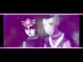videos de Sukka - Lovebug