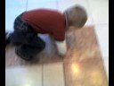 Kyler Bouchez: Mall Walker