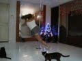 PoleJunkies.com Fun Online Competition
