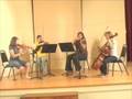 Hank Vlogs (and a String Quartet)