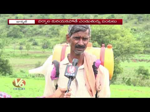 Farmers Cultivation On Stones Land In Kamareddy | V6 Telugu News