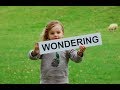World Environment Day View Video