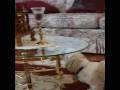 videos de Romo Trying To Get the Ornament He Broke