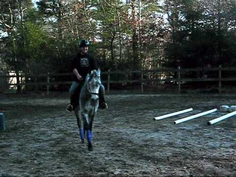 how to fit draw reins