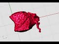 RealFlow to Rhino tests