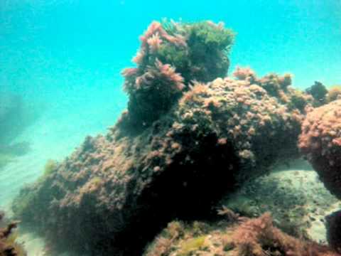 buceo en Mio�o 21-05-2010