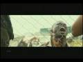 DJIMON HOUNSOU HONORS AFRICA
