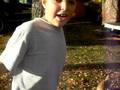 videos de puppy fetching