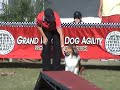USDAA Nationals 2009 - Grand Prix Finals - Manja