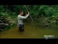 Bear hunts pirana Bear hunts pirana