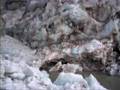 Gangotri Glacier