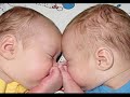 Lullabye Lullabye