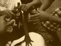 Weekend @ Arnold's House with Tim's Flip Cam - Part 2