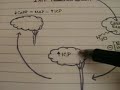 Intracranial Pressure