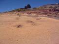 Curious Ant Holes on Lake Powell Beach