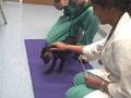 videos de Nicki and the Neurologist