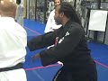 Grandmaster Moreland Hapki punch defense Grandmaster Moreland Hapki punch defense