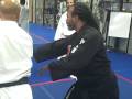 videos de Grandmaster Moreland Hapki punch defense 