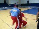 kali sports