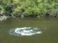 Betsie River Salmon Fishing