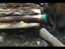 BC Trip Grouse Grind.wmv