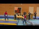 Truppligan 2008
