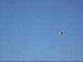 videos de Katana 3rd flight.wmv