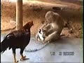 real love