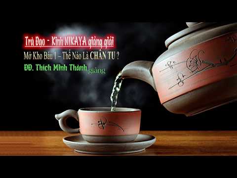 Kinh NIKAYA Giảng Giải -TRÀ ĐẠO- Mở Kho Báu 1 - Thế Nào Là CHÂN TU? Kinh NIKAYA Giảng Giải -TRÀ ĐẠO- Mở Kho Báu 1 - Thế Nào Là CHÂN TU?